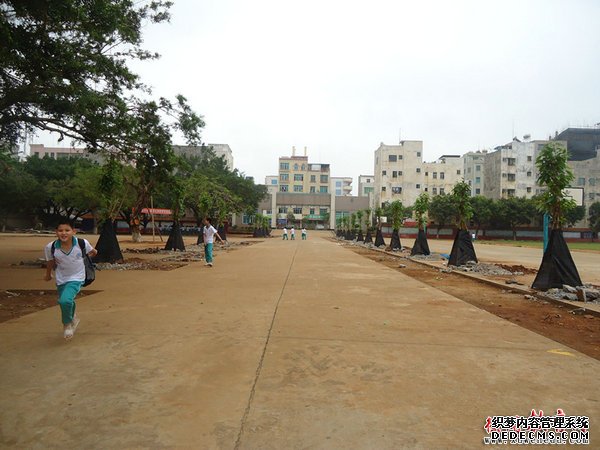DSC00953_副本.jpg
